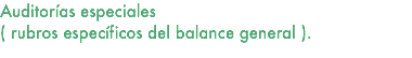 Auditorías especiales ( rubros específicos del balance general ).